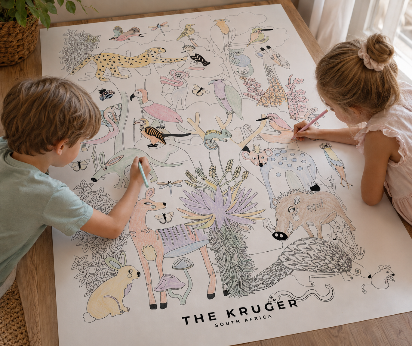Jumbo Kruger Colouring Poster