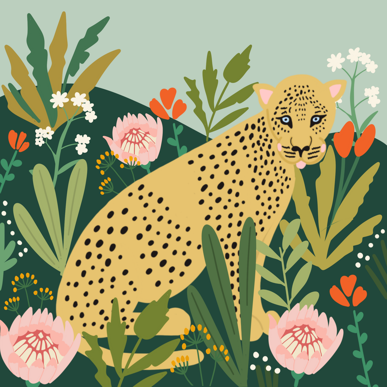 Safari Adventures