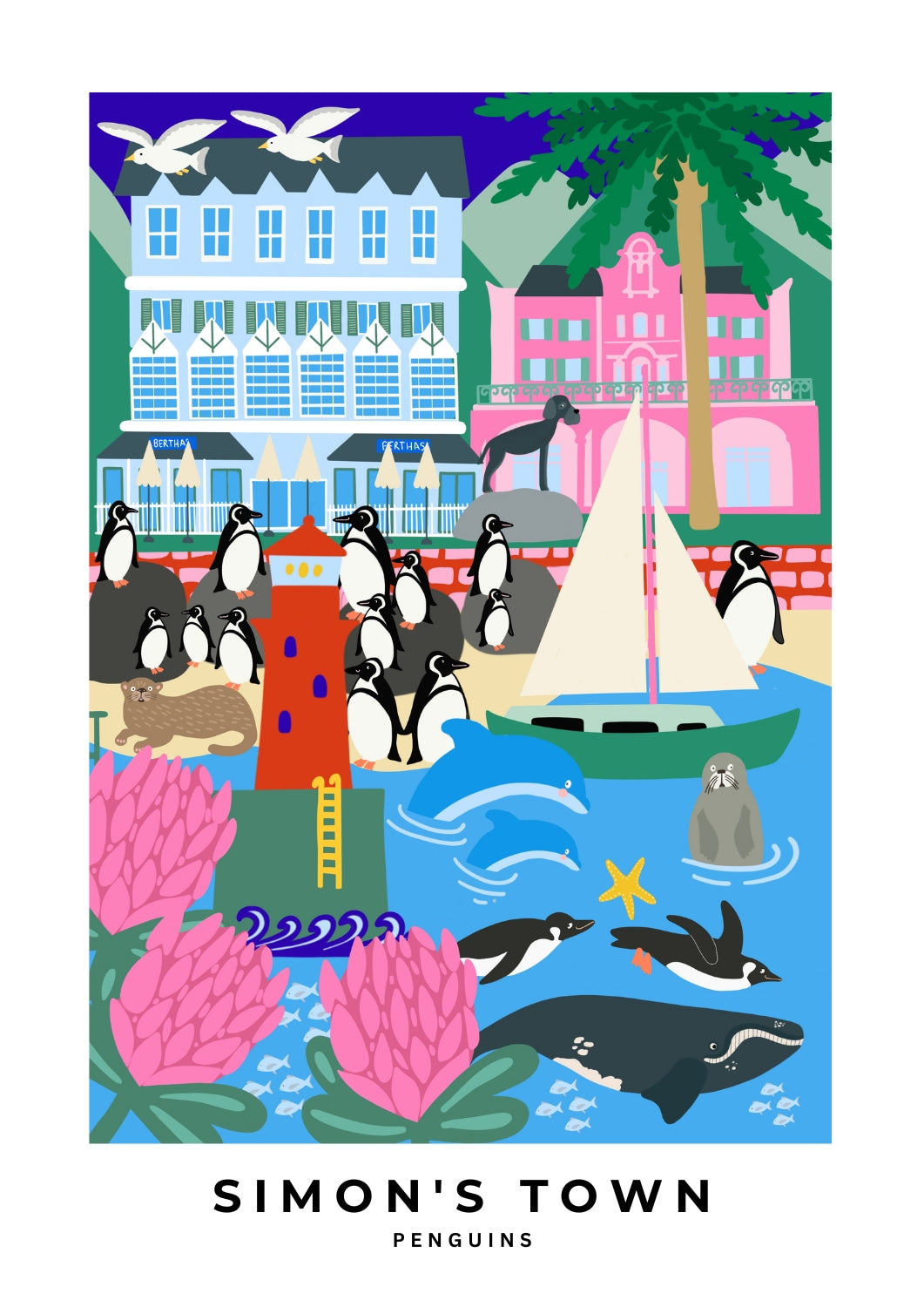 Simon’s Town Penguins Print